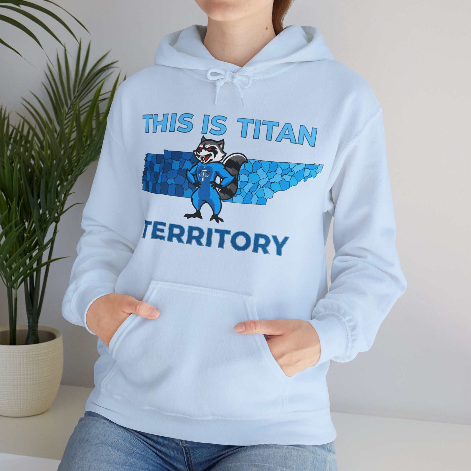 Fan wearing Titans raccoon hoodie