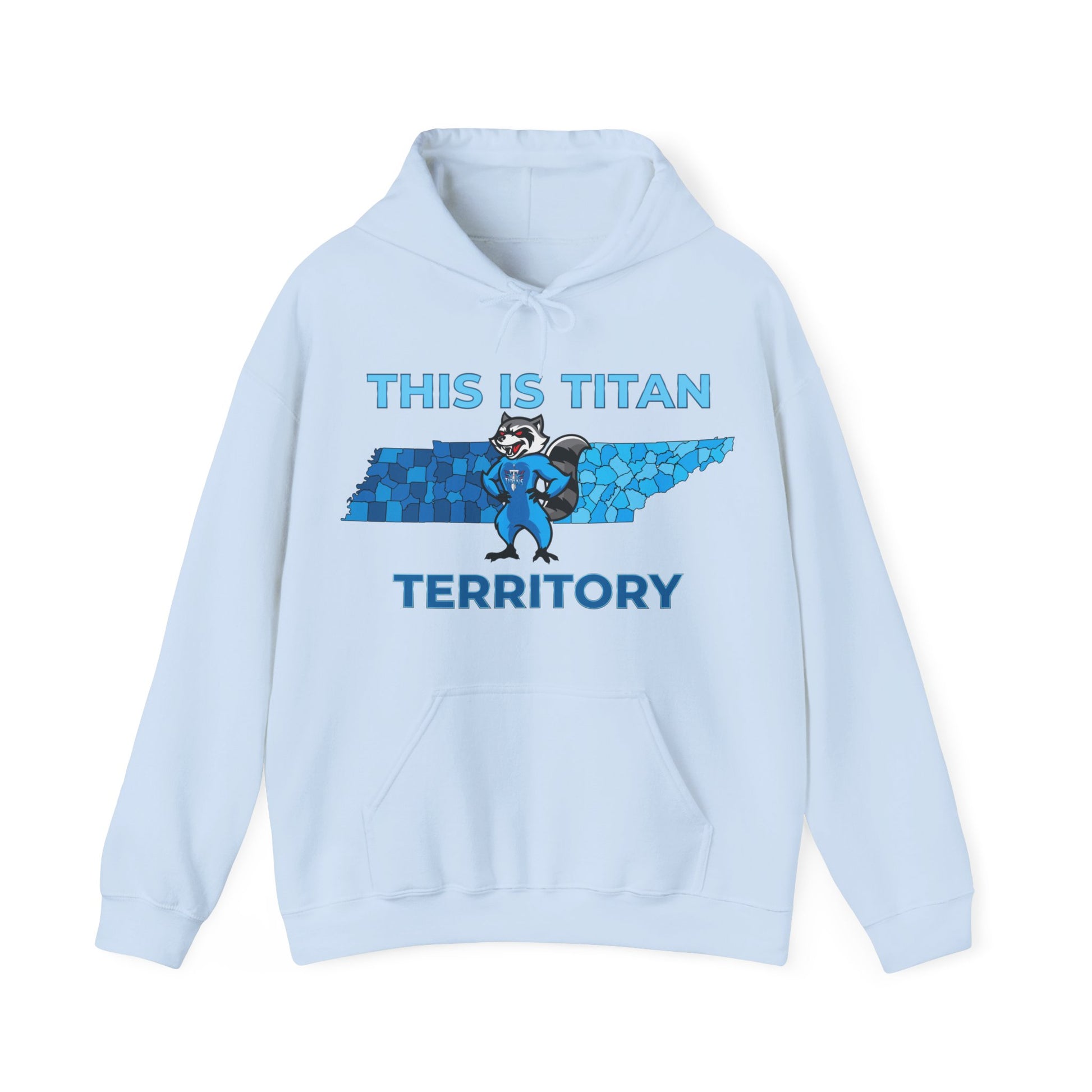 Fun raccoon design on Titans hoodie