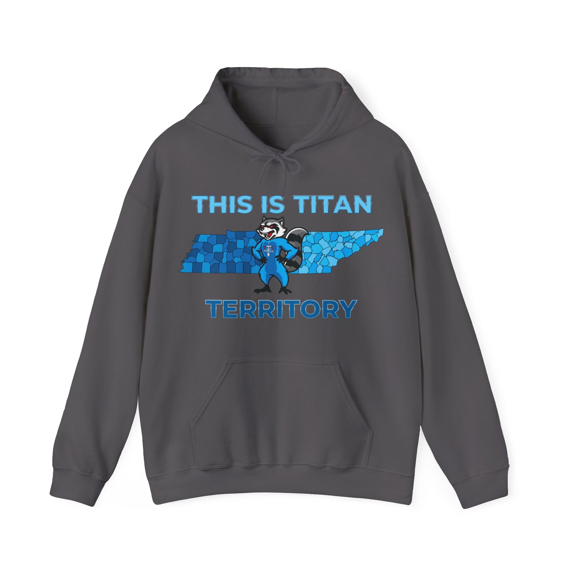 Titans hoodie with raccoon illustration